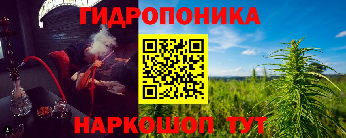 Каннабис Amnesia  Канабис Bruce Banner  Каменск-Шахтинский  Бошки Шишки AK-47  Вход с VPN 